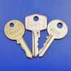 Replacement lock/ignition key (PAIR)