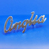 Anglia rear script badge