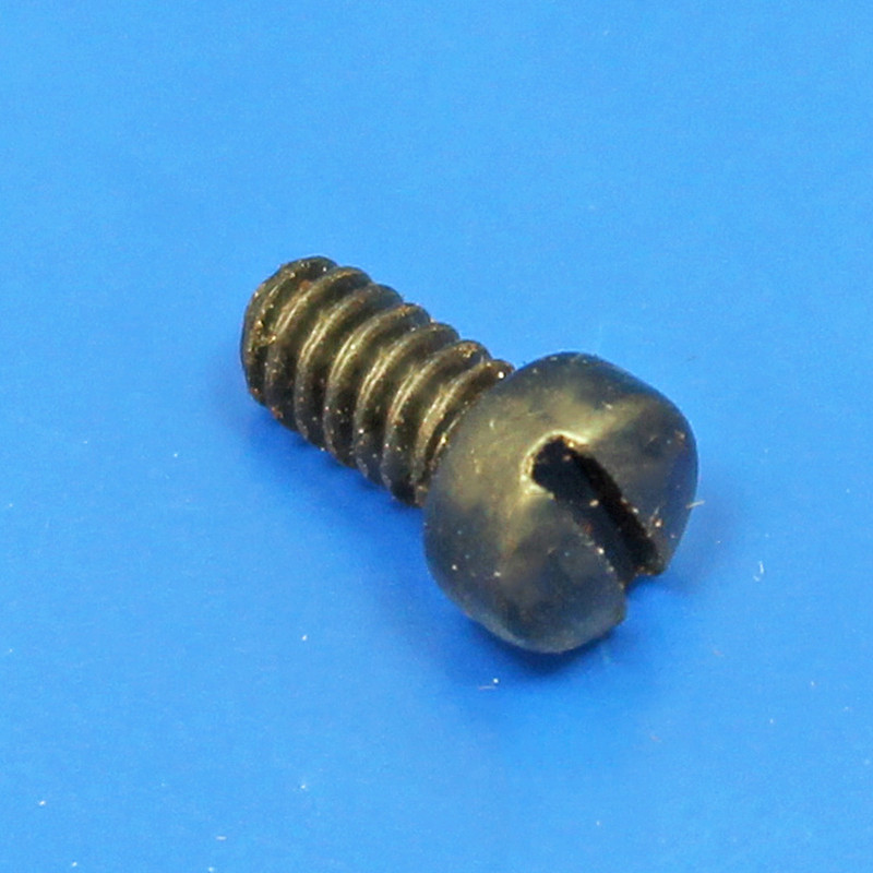 Fuel Pump Screw - Fillister