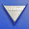 Ford triangle chrome wing badge