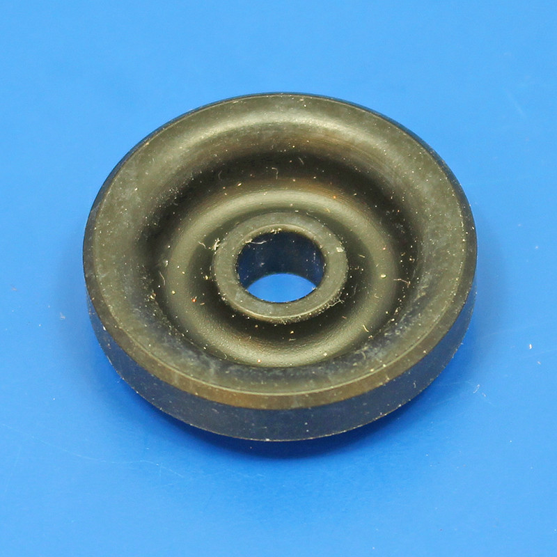 Fuel pump seal