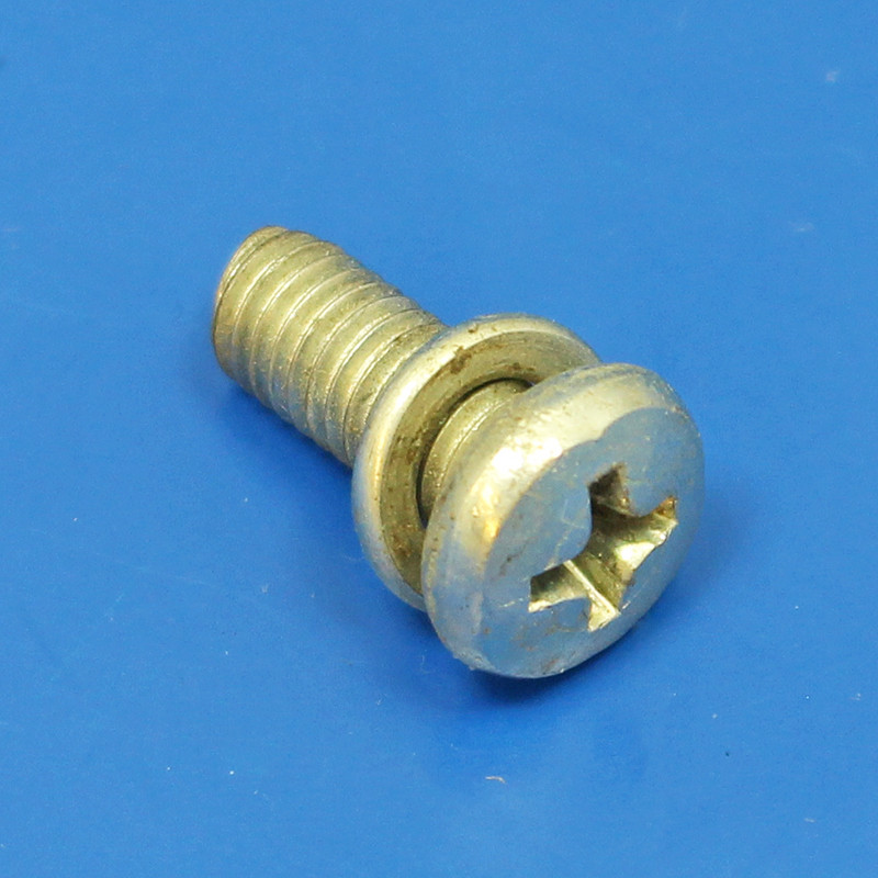 Fuel Pump Screw - Pan